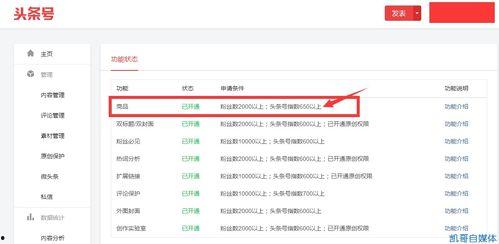 什么叫头条号编,如何打造爆款内容，抢占流量高地
