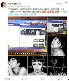 明星酷狗皮肤,解锁个性潮流新体验