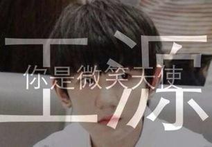 wy的明星,wy明星的璀璨人生