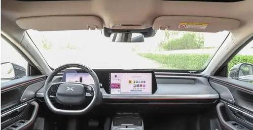 大成和小鹏吃瓜,瓜田里的欢乐时光