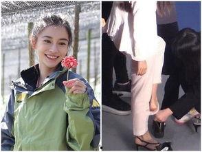 助理伺候女明星,女明星的幕后守护者