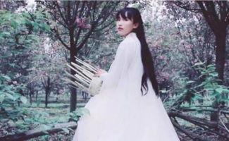 网红李子柒全部视频做菜,穿越田园，品味四季佳肴