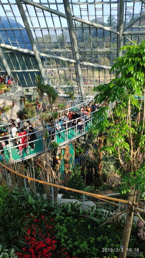 大连网红打卡踏青图片